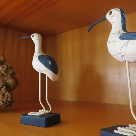 Casa Barroca 卡拉帕泰拉