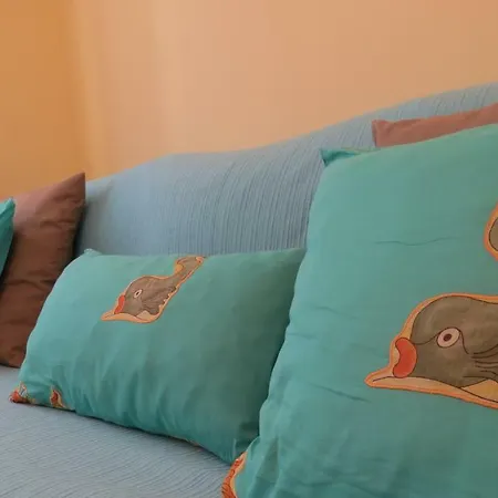 Casa Barroca 卡拉帕泰拉