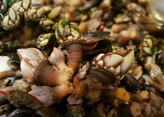 Casa Barroca Casa de Férias