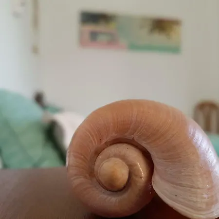 Casa Barroca Hébergement de vacances