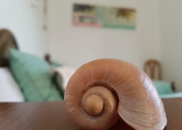 Casa Barroca Hébergement de vacances