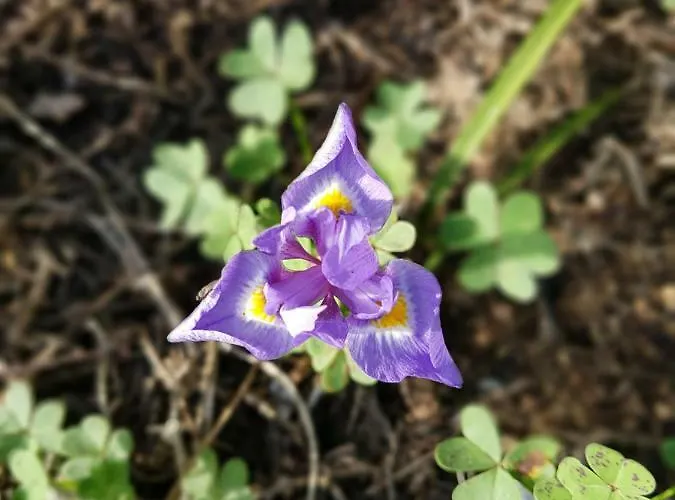 Hébergement de vacances Casa Barroca